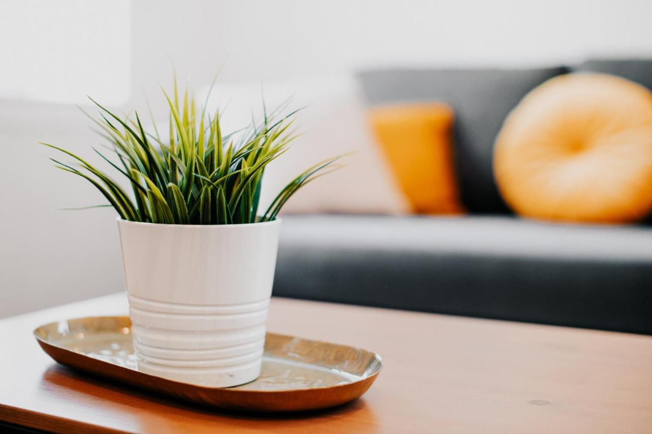 Appartement Cosy Avec Place De Parking Prive Тулуза Екстер'єр фото
